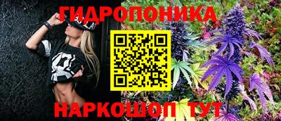 spice Бузулук