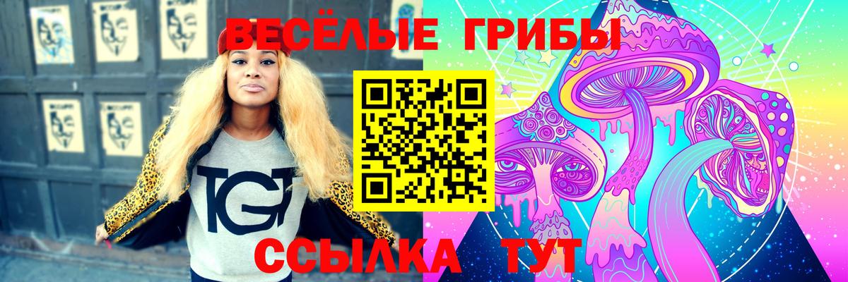 цены наркотик  Вход с VPN  Будённовск  Псилоцибиновые грибы Psilocybe 